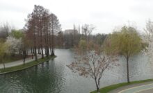 Parc IOR